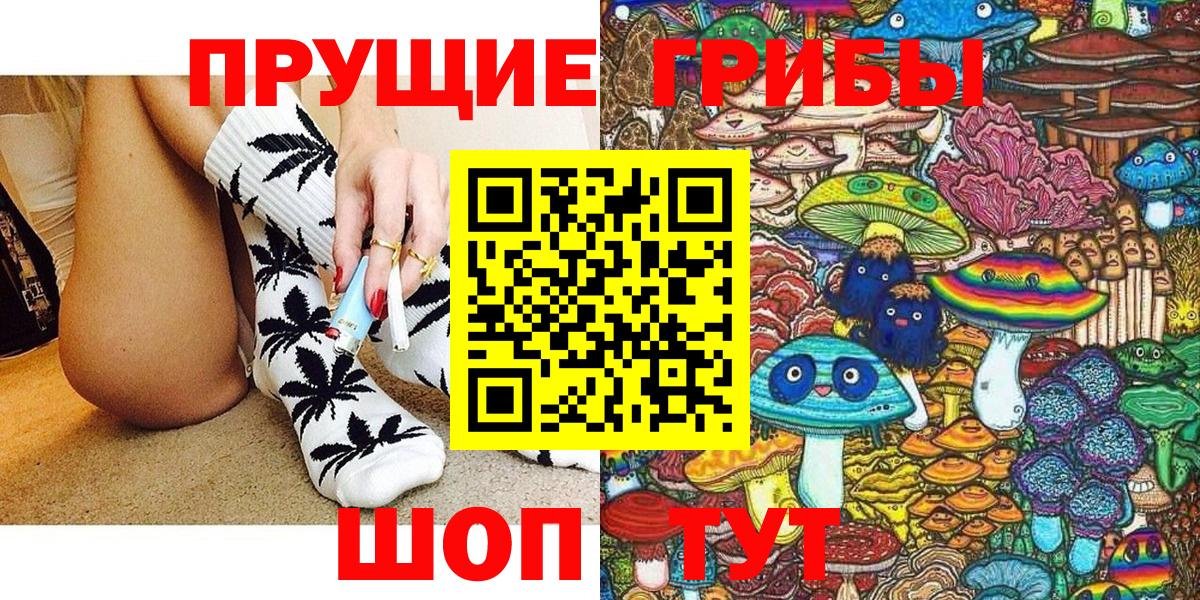 Галлюциногенные грибы Psilocybine cubensis Котлас